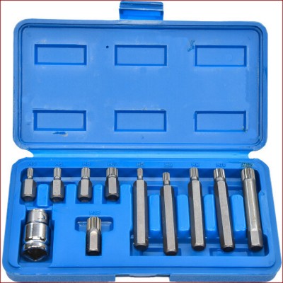 Набір викруткових насадок VOREL 1/2" SPLINE M5-M12 11 шт 66770