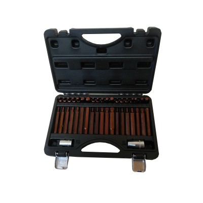 Набір біт з битоутримувачами "Premium", 40 предметів (10мм) (75/30мм: T20-T55, H4-H12, M5-M12) у пластиковому кейсі Forsage F-4401D